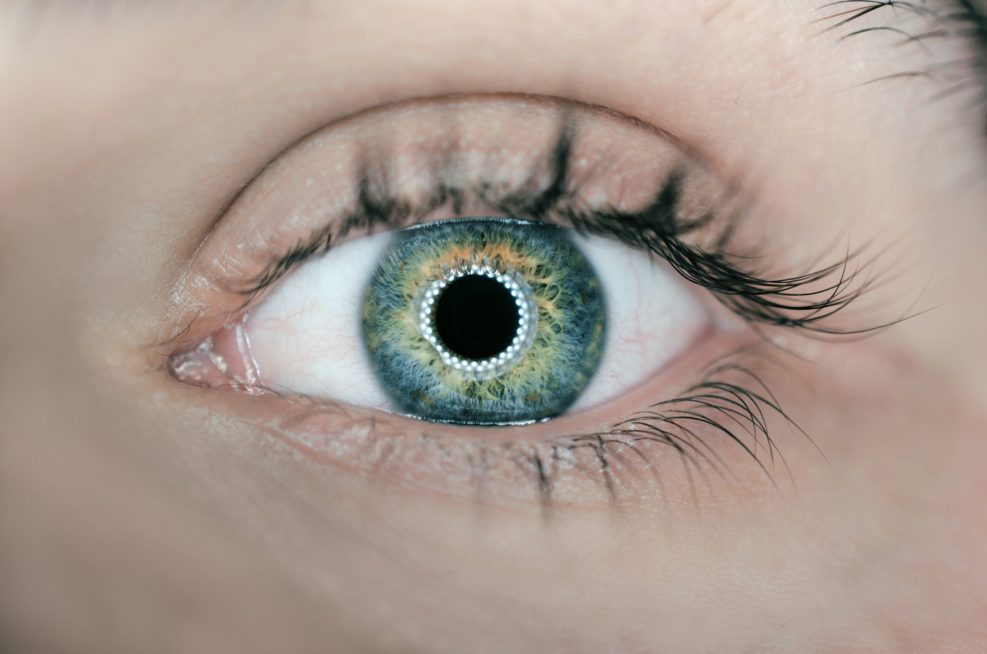 Eyeball with ring light reflection in pupil