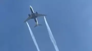 image for Gassing the Kids