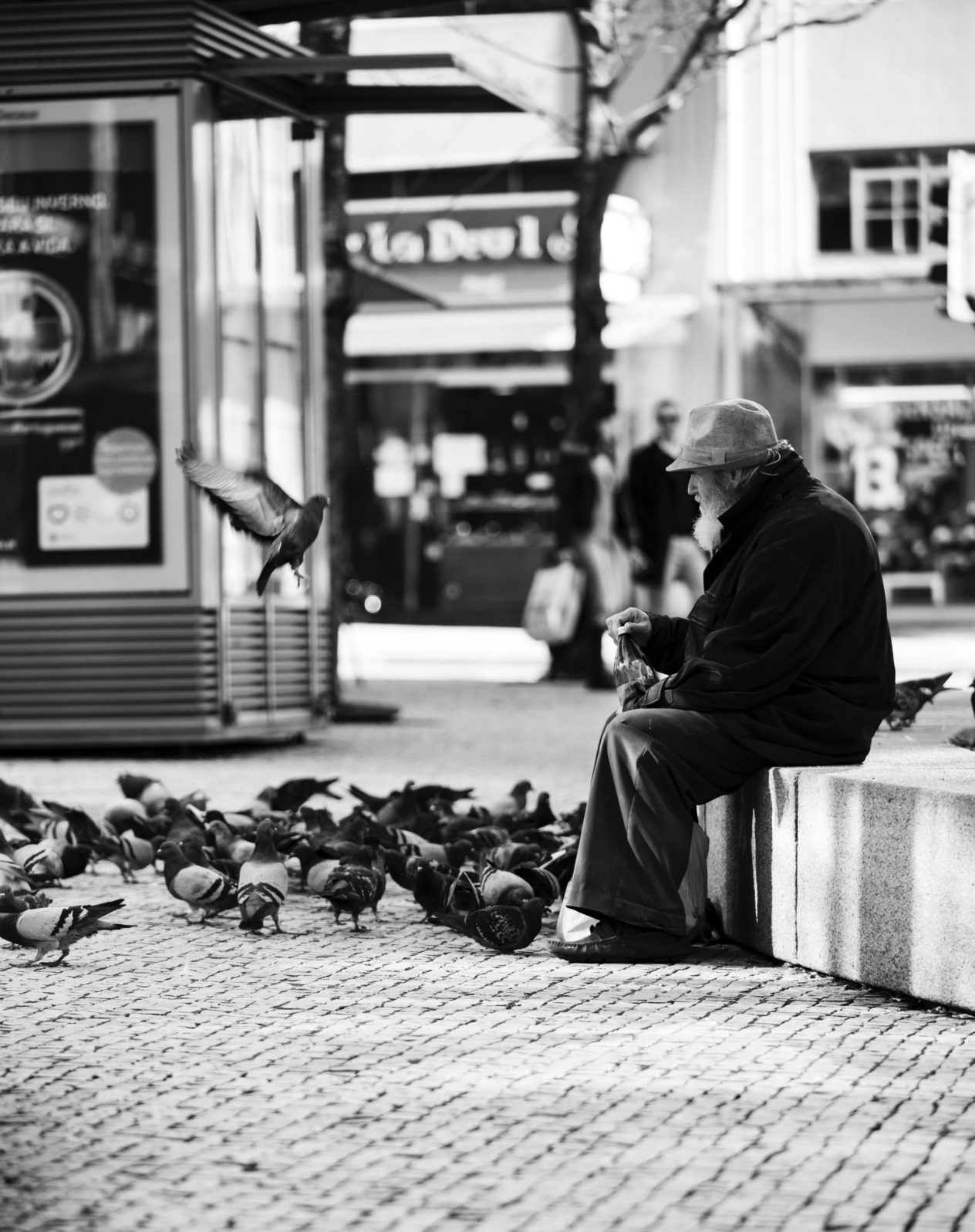 man sitting and feeding birds