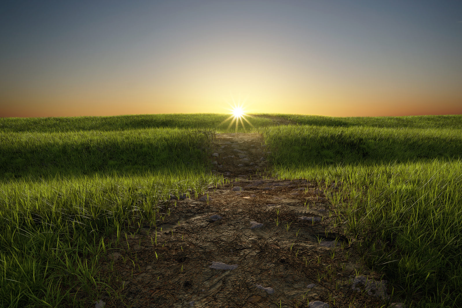 Sun over green grass field