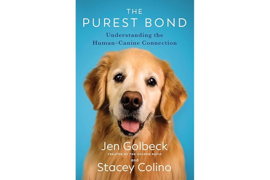 The Purest Bond: Understanding the Human–Canine Connection