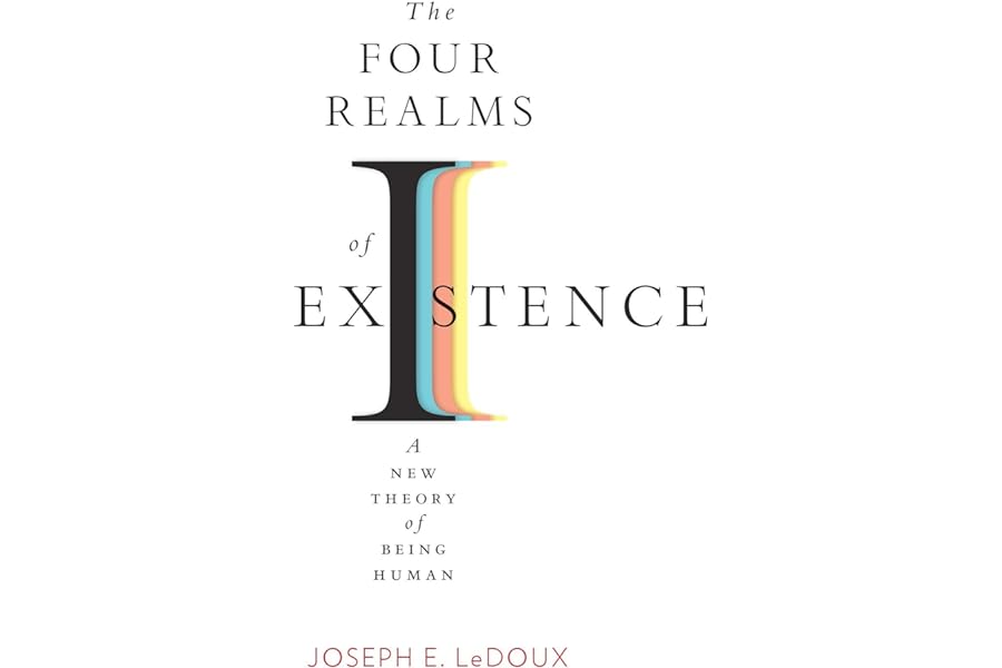 The Four Realms of Existence: A New Theory of Being Human