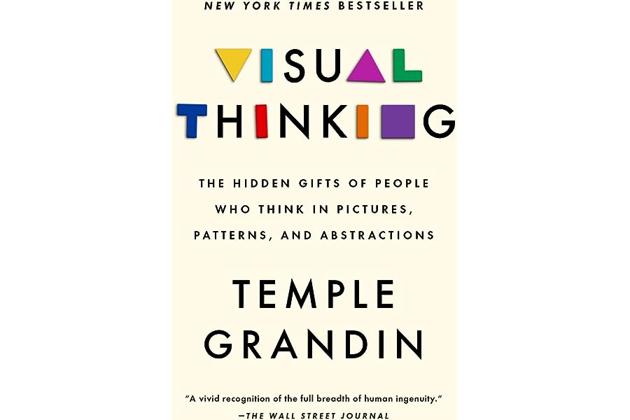 Visual Thinking: The Hidden Gifts of People Who Think in Pictures, Patterns, and Abstractions