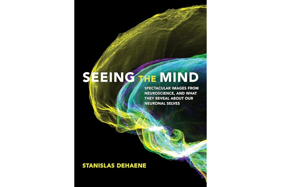 Seeing the Mind: Spectacular Images from Neuroscience, and What They Reveal about Our Neuronal Selves